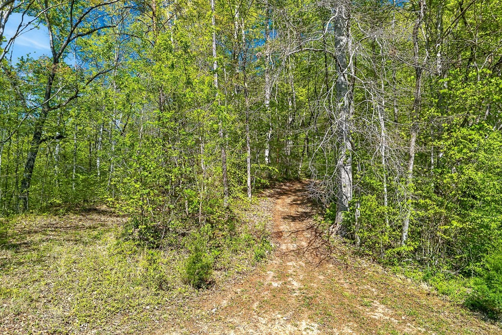 0 Board Valley Rd