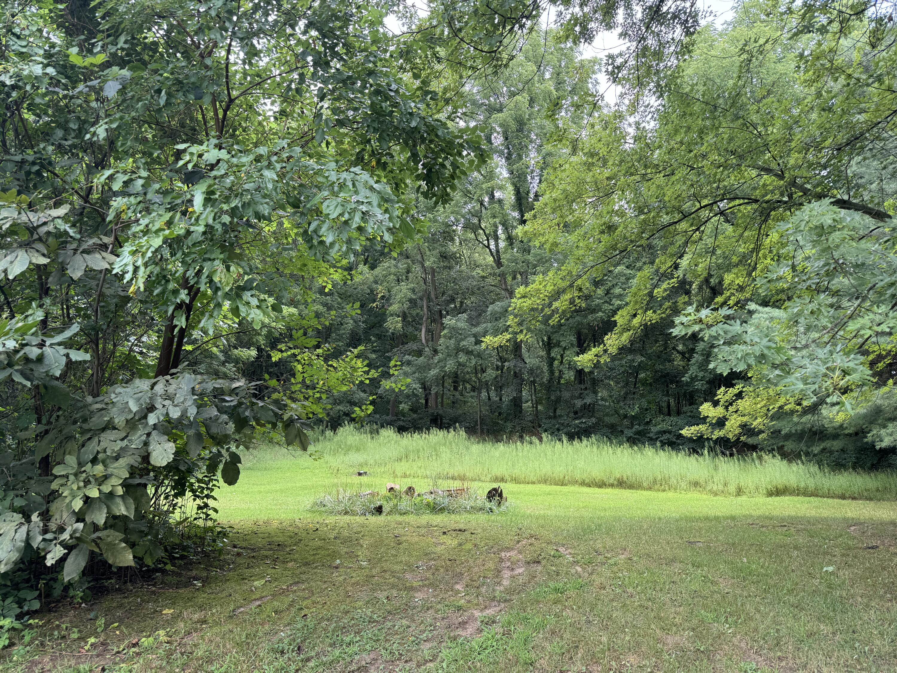 5105 W Olive Branch Road