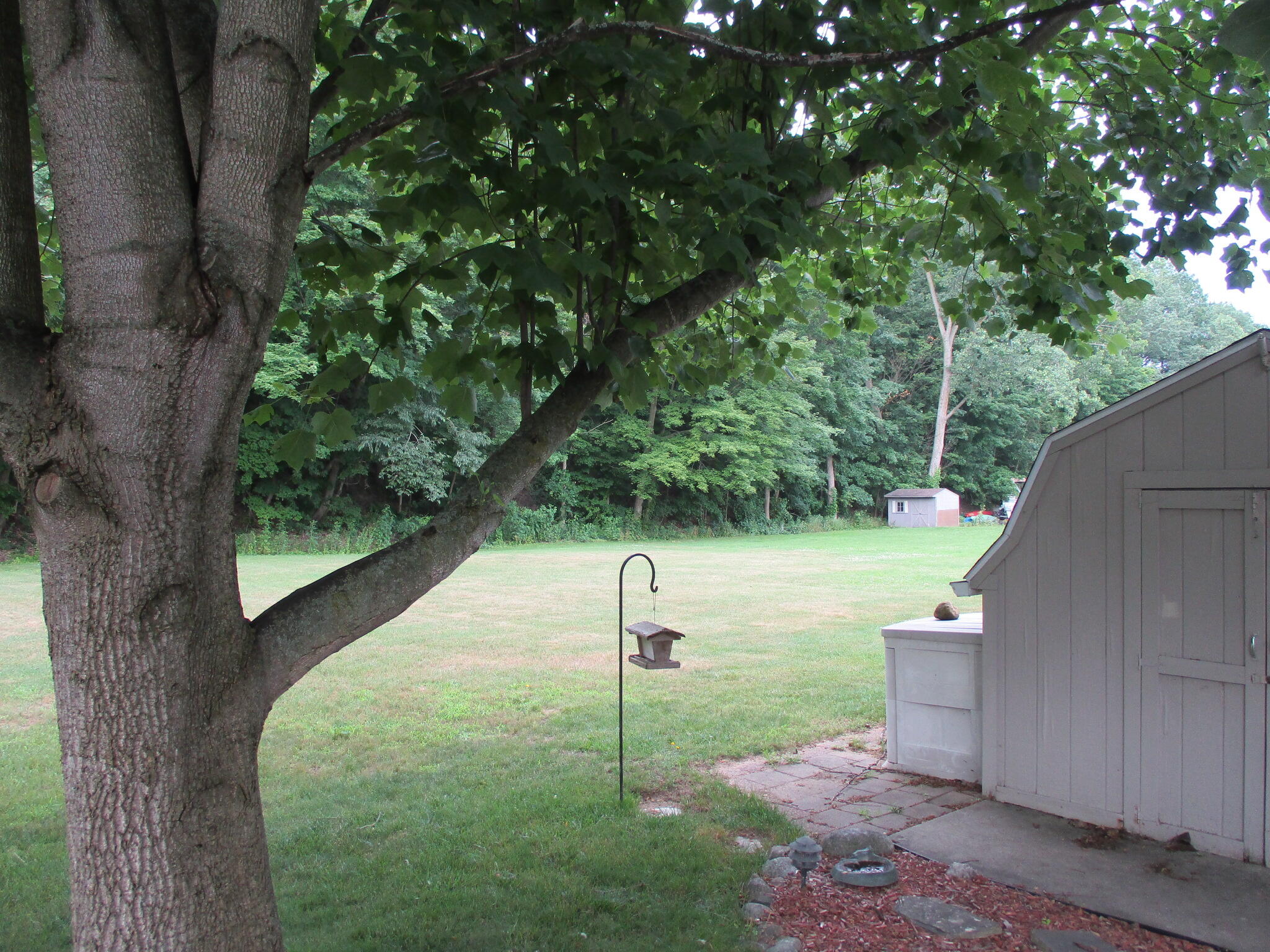 6236 Arrowhead Drive 31