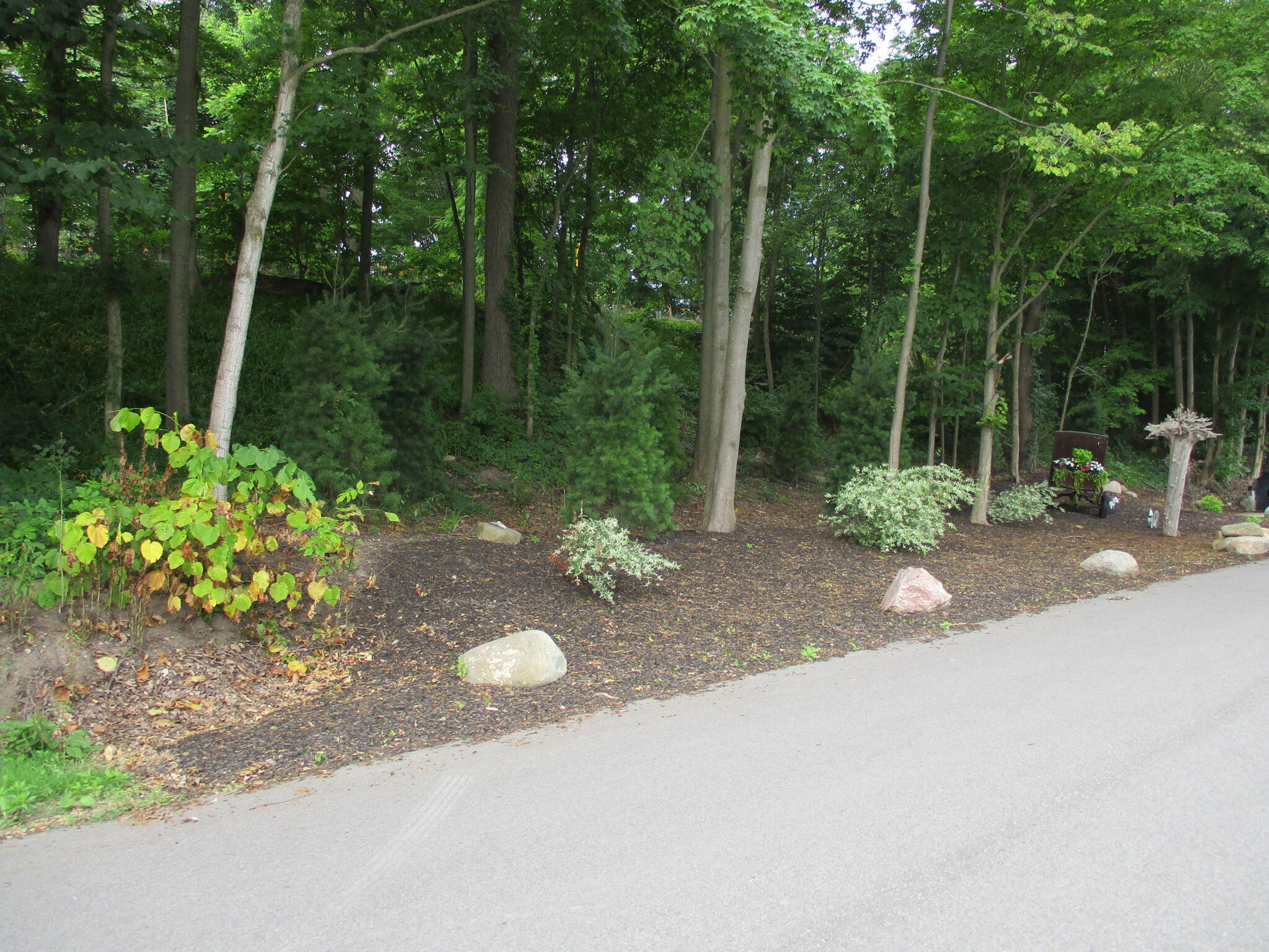 6236 Arrowhead Drive 31