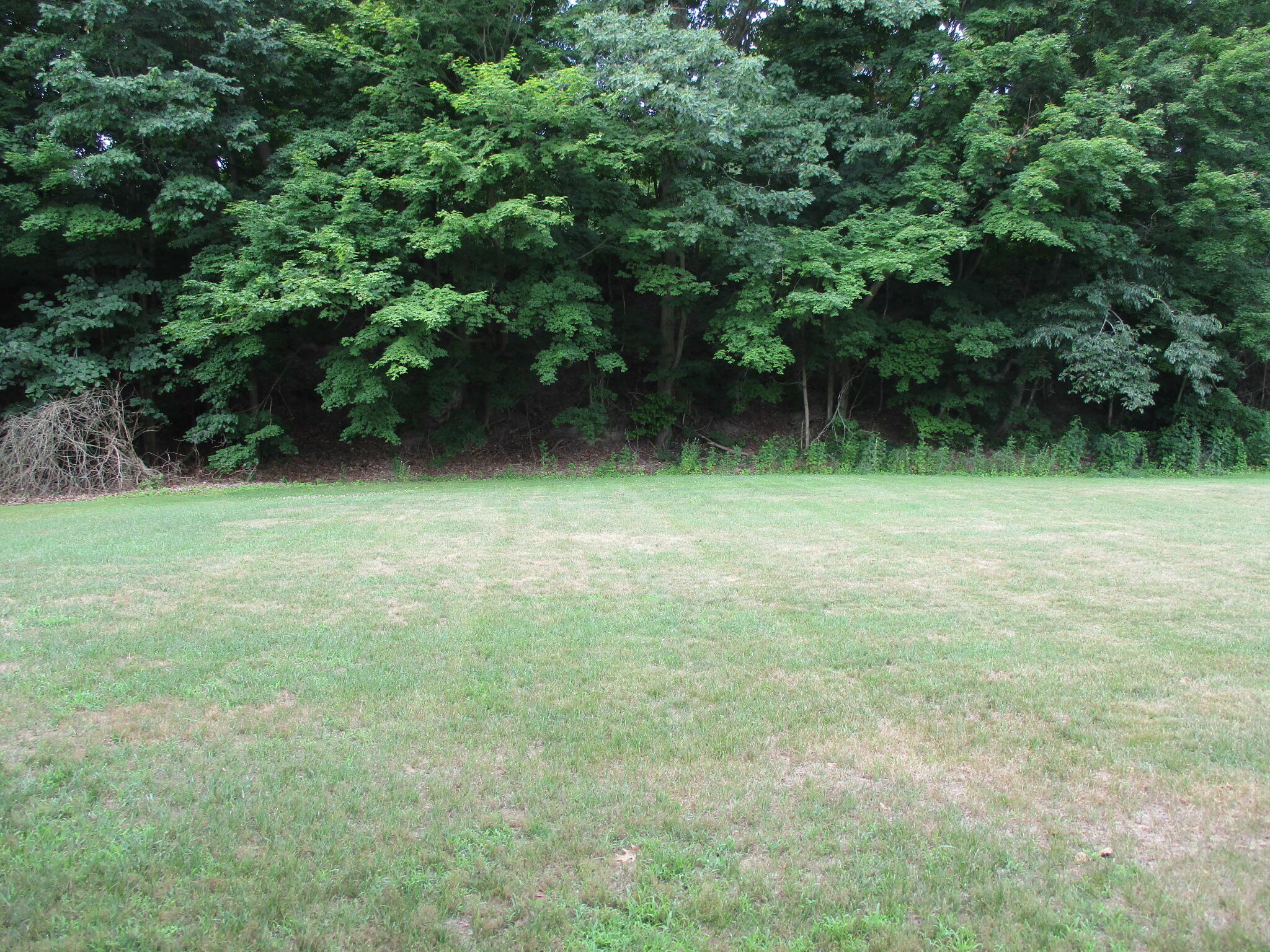 6236 Arrowhead Drive 31