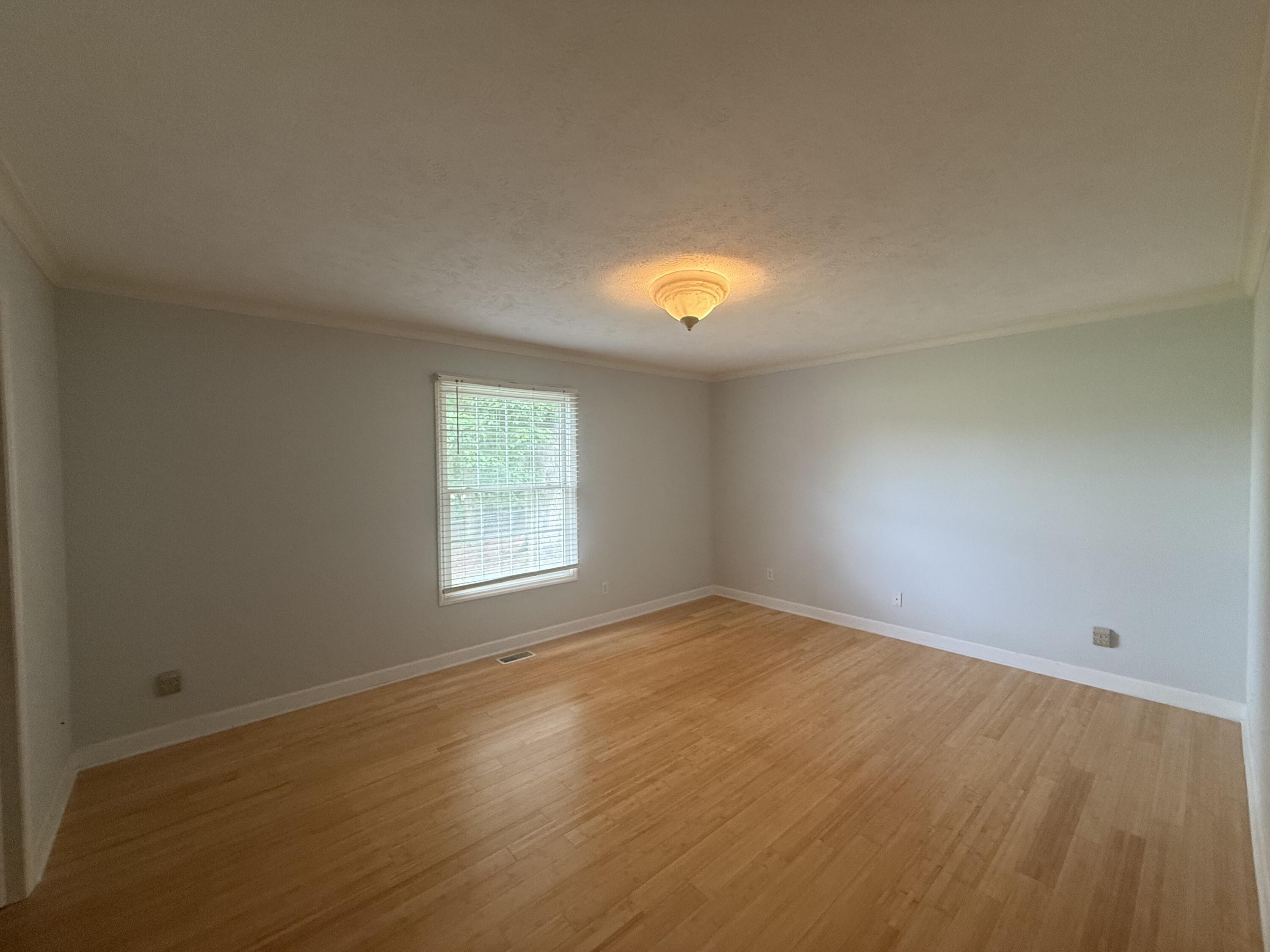 433 Amity Street, 3