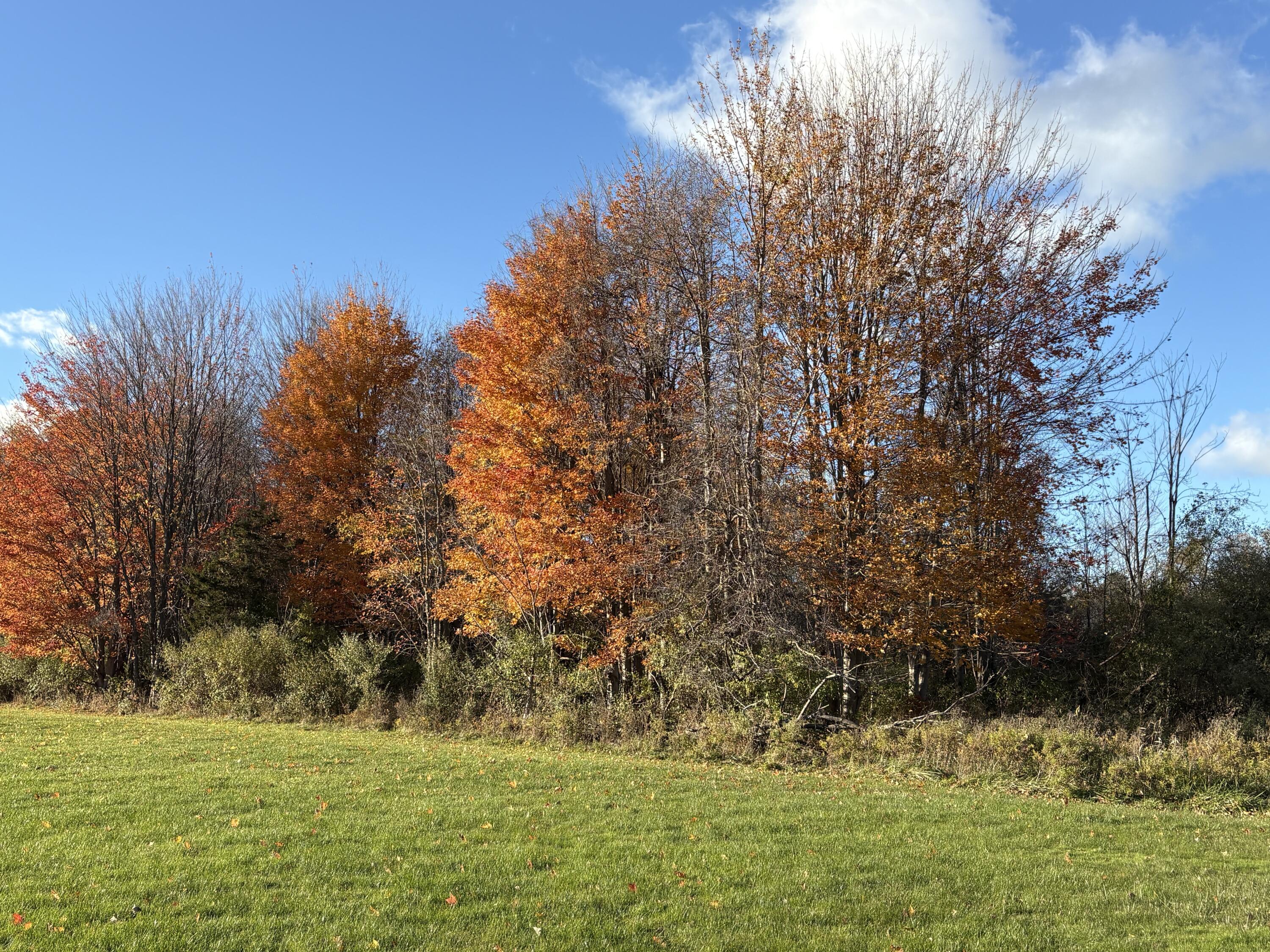 2930 S Blue Star Highway