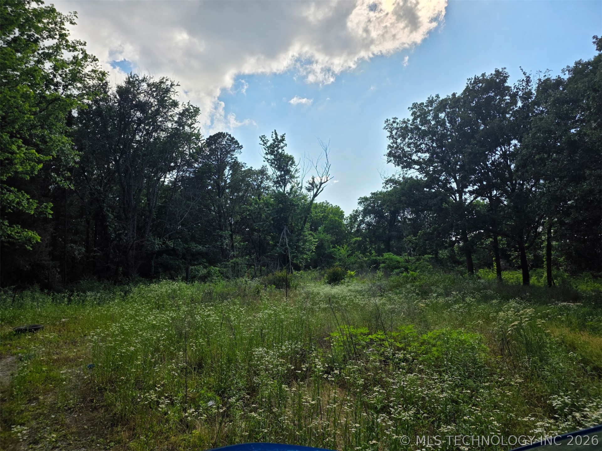 Wooded property with a wildflower-filled clearing beneath mature trees.