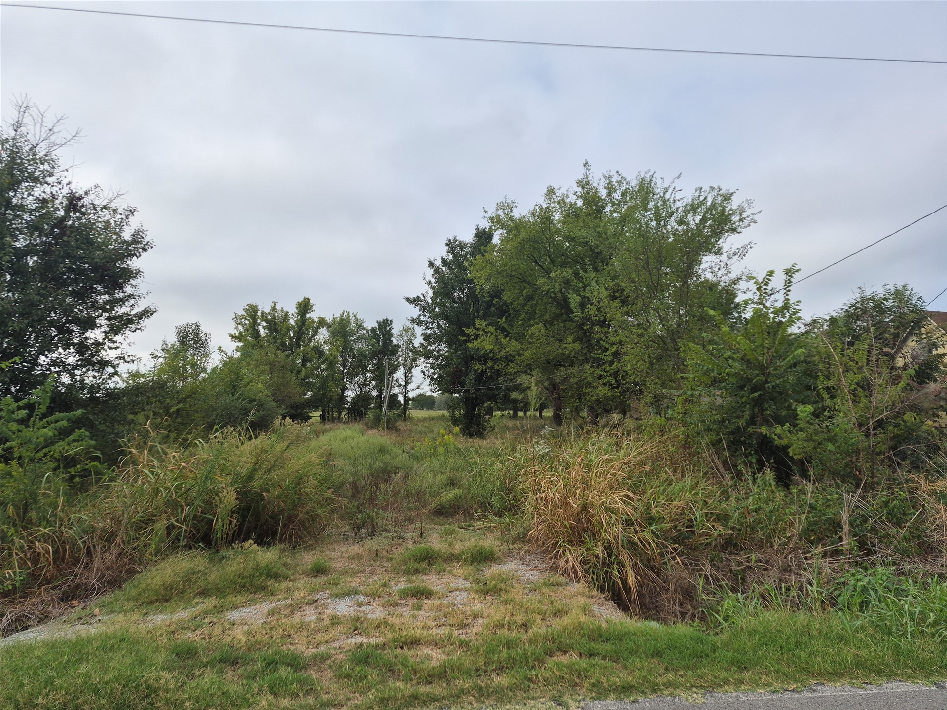 Rural lot with an overgrown grassy track leading between mature trees and brush.