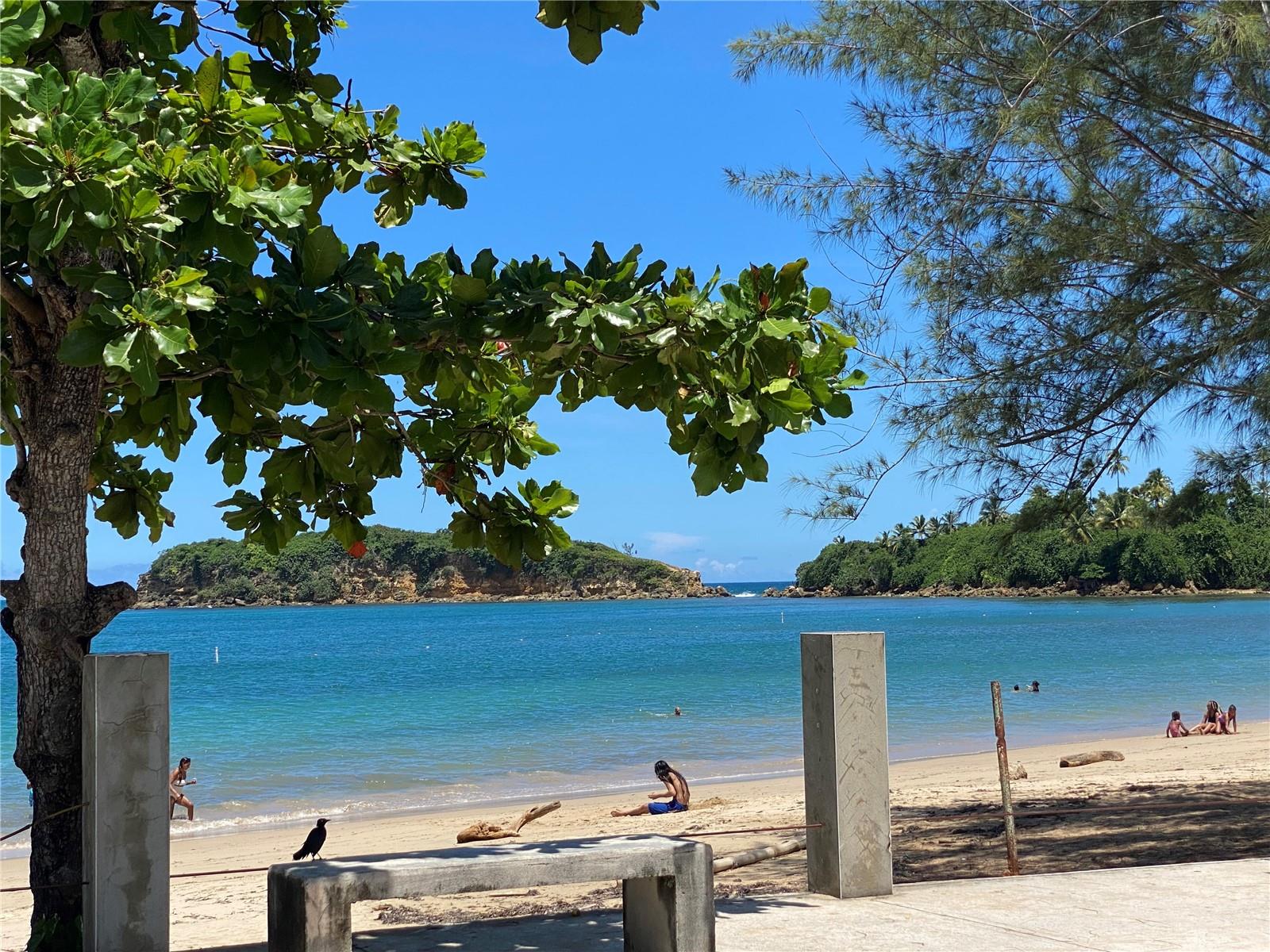 64 Fabiana ESTANCIAS DE CERRO GORDO