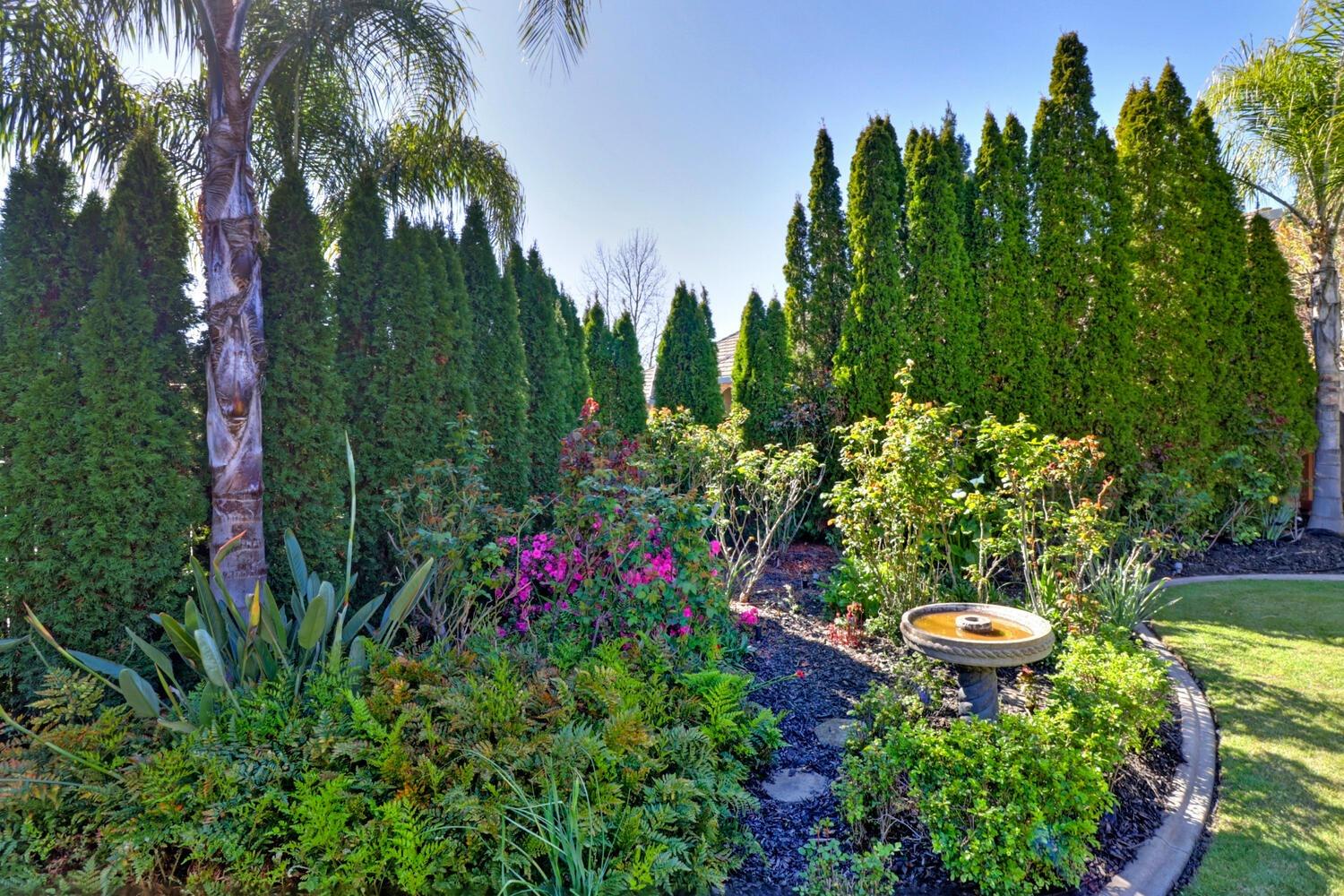 2003 Thornhill Drive