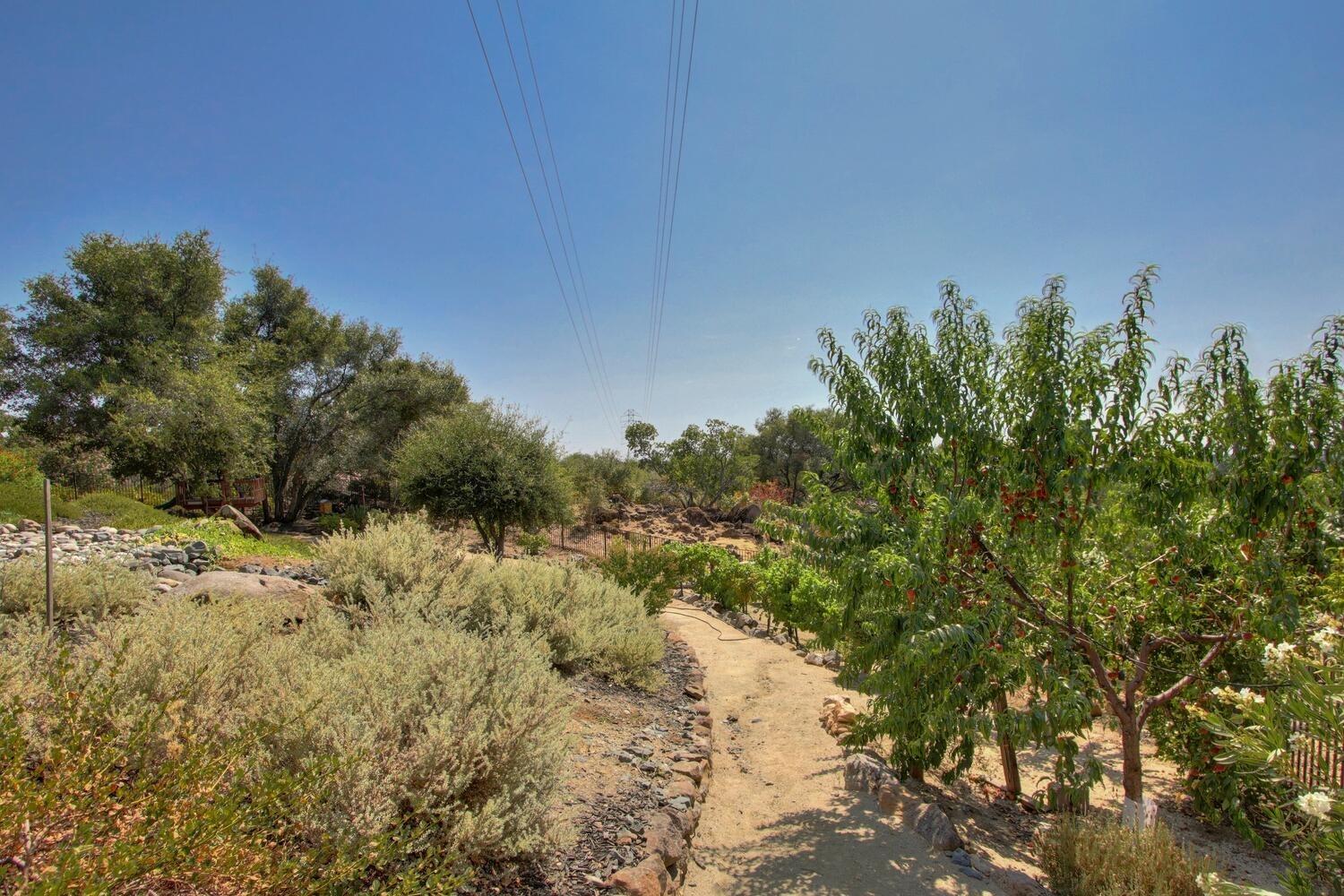 9325 S Los Lagos Circle