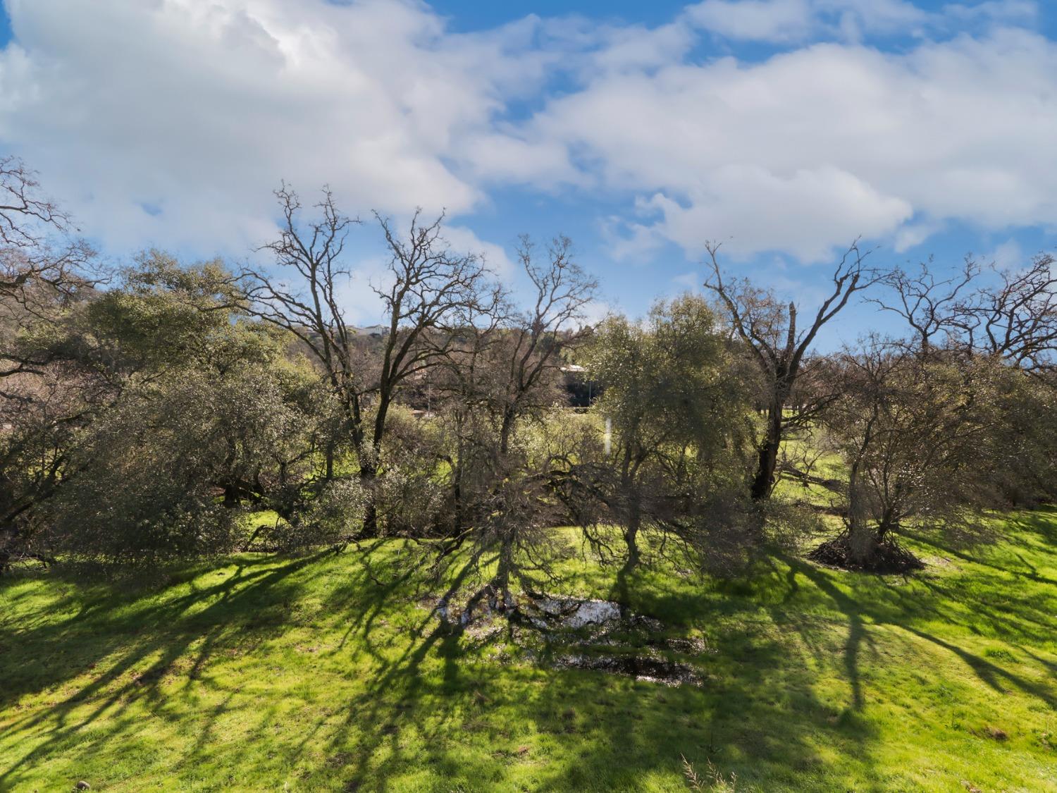 4308 Red Maple Court