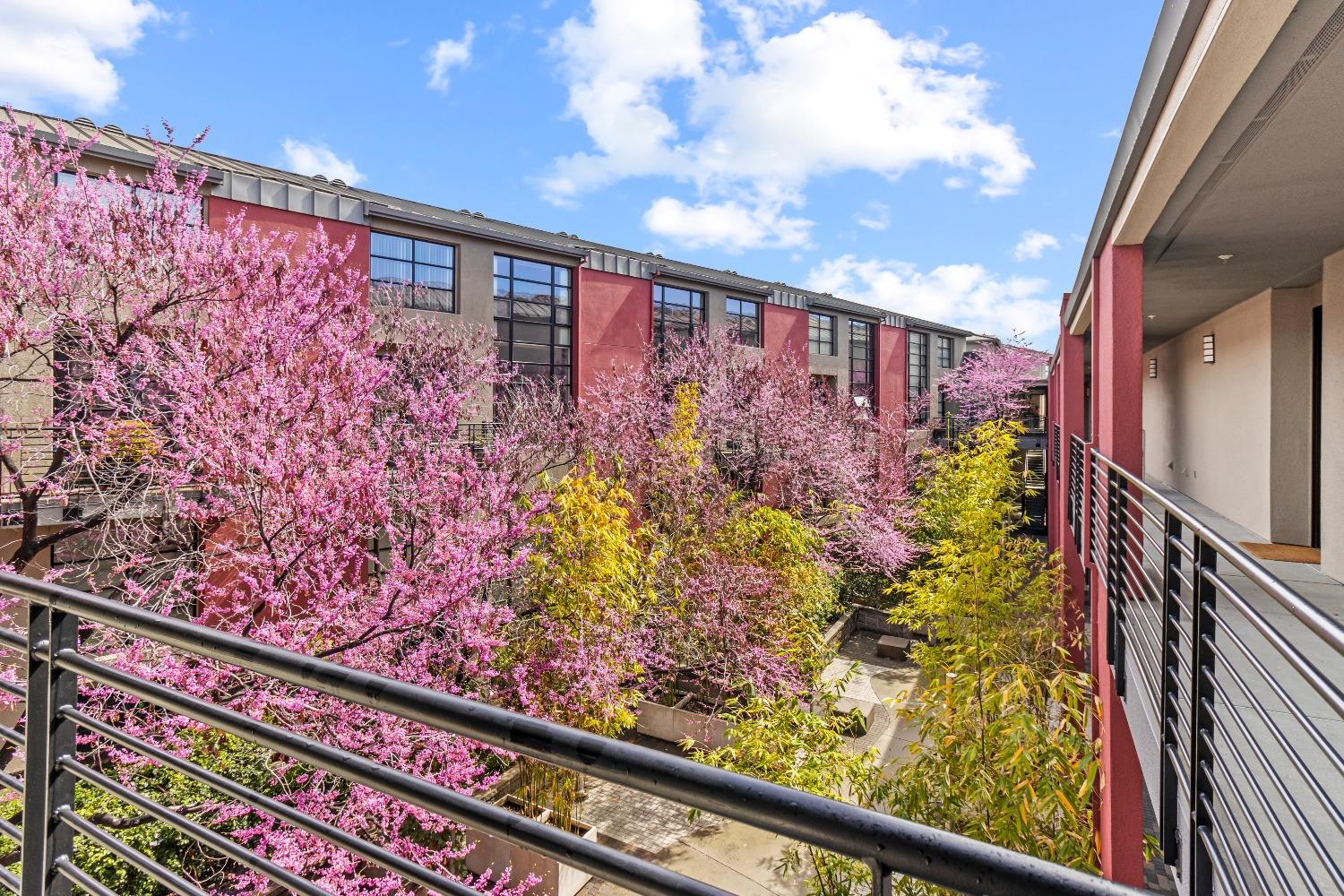 350 E Mission Street 203