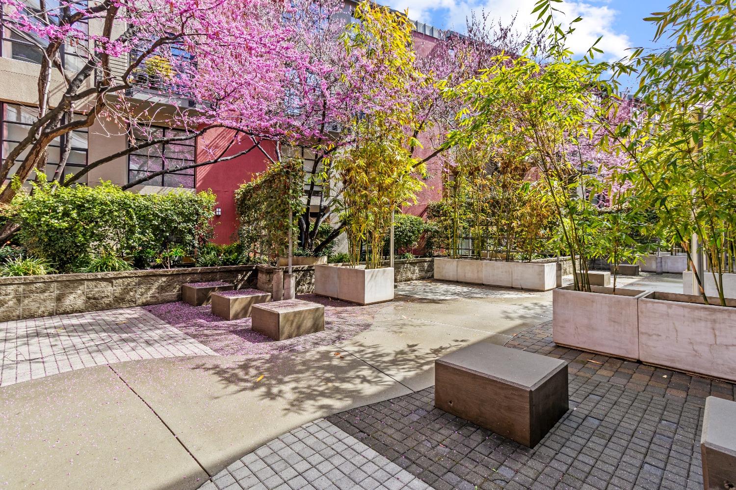 350 E Mission Street 203