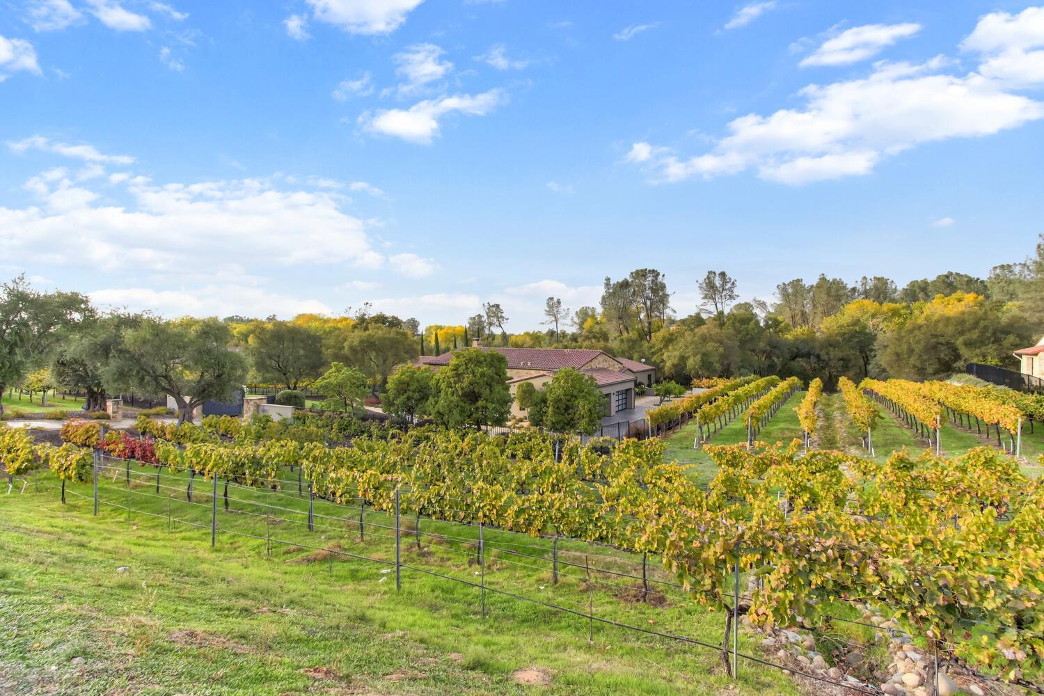 6505 Rutherford Canyon Road