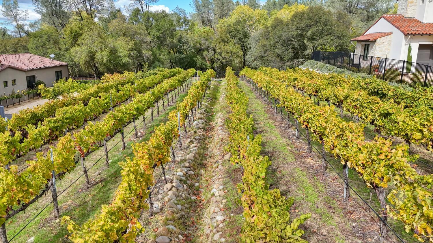 6505 Rutherford Canyon Road