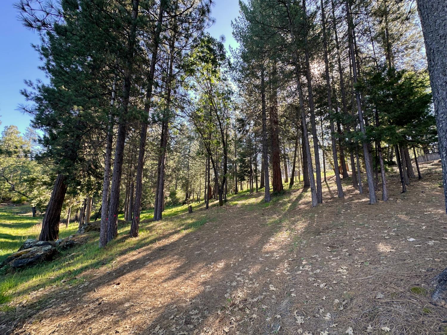 1711 The Point Rd