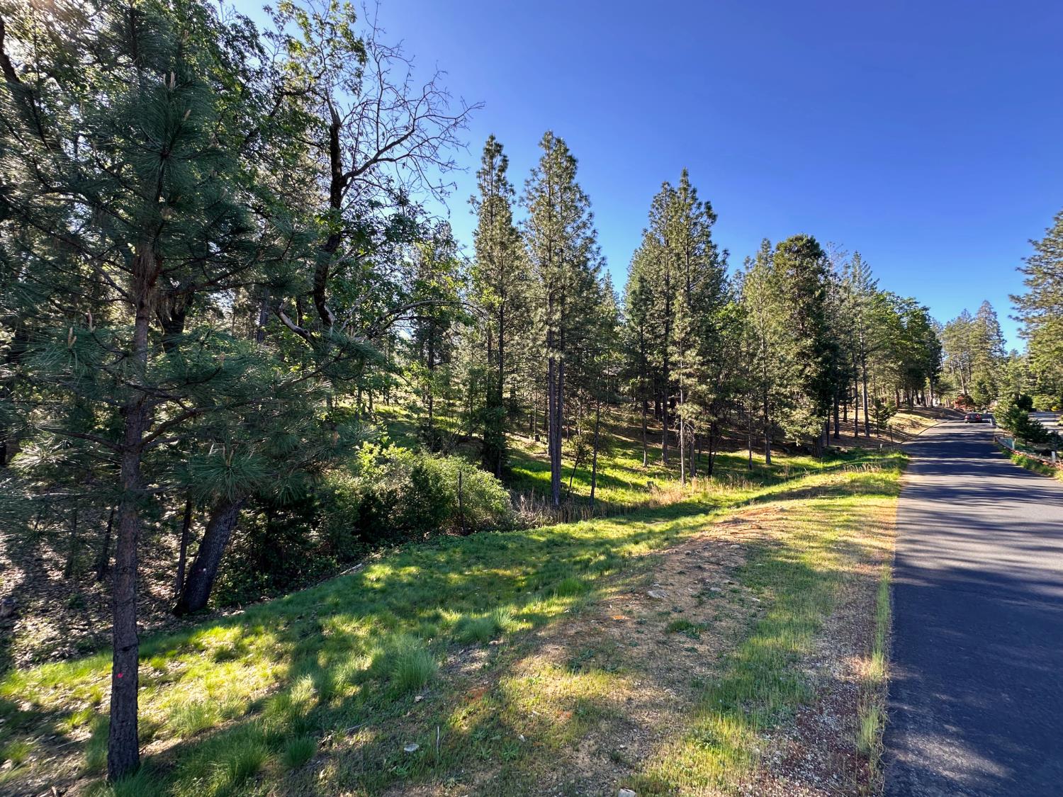 1711 The Point Rd