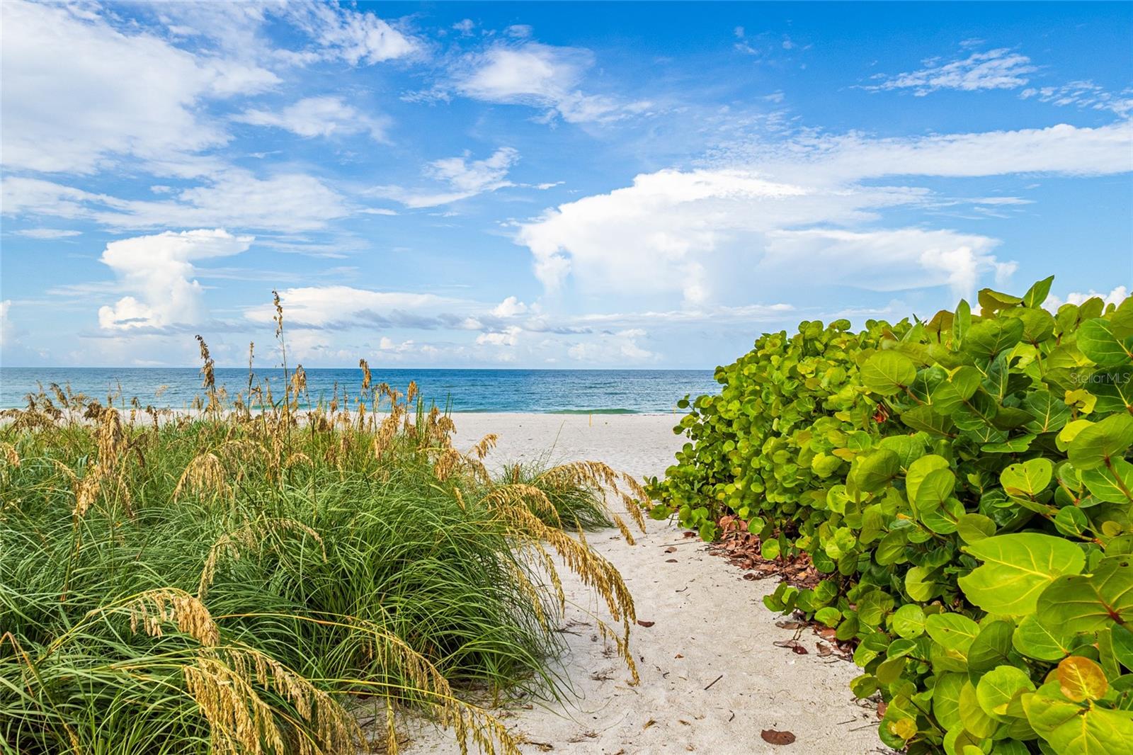 755 SAINT JUDES DR N