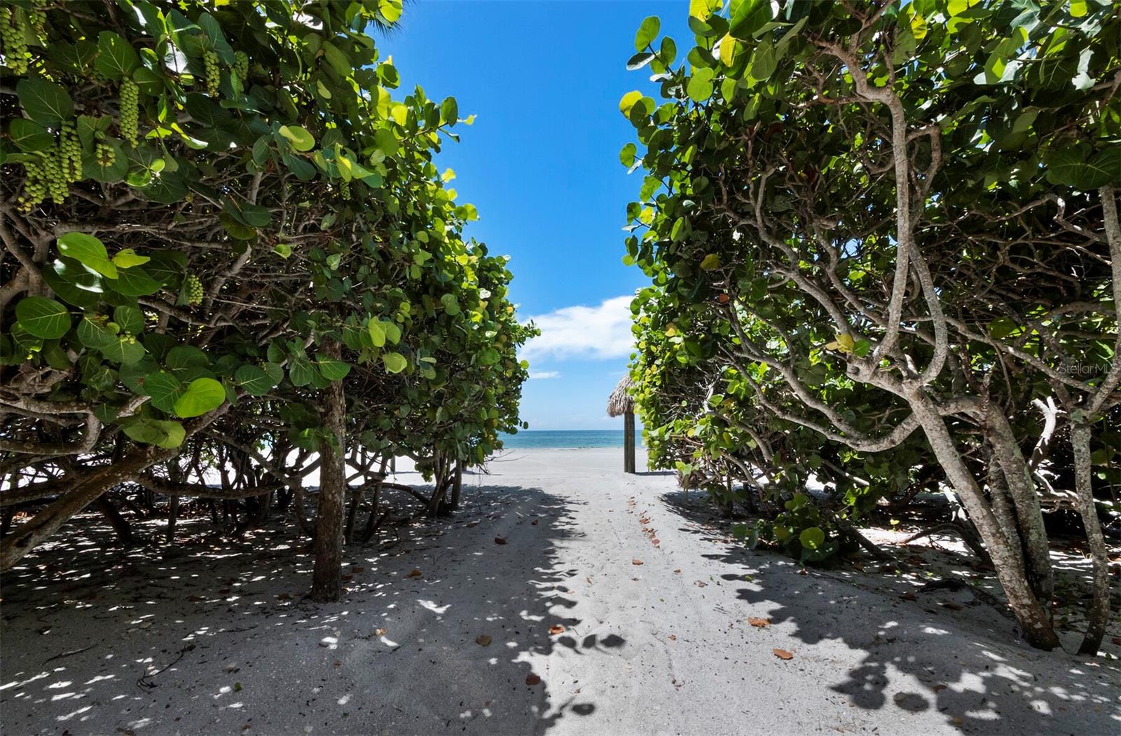 1511 GULF OF MEXICO DR #302