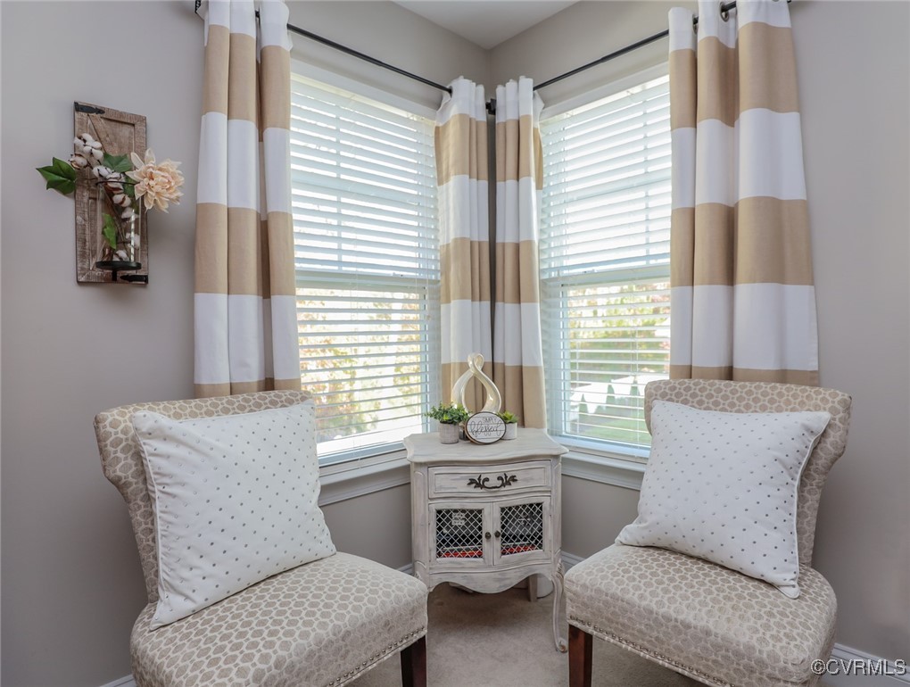 16713 White Daisy Loop