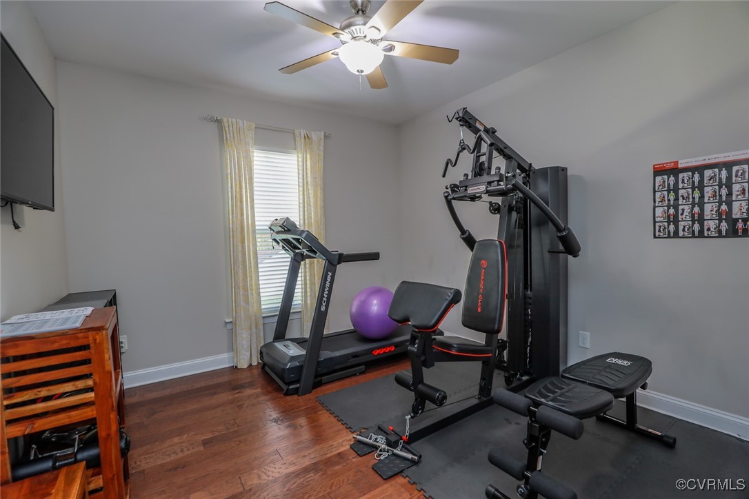 16713 White Daisy Loop