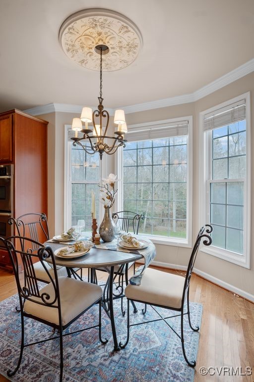 10961 Brandy Wood Ter