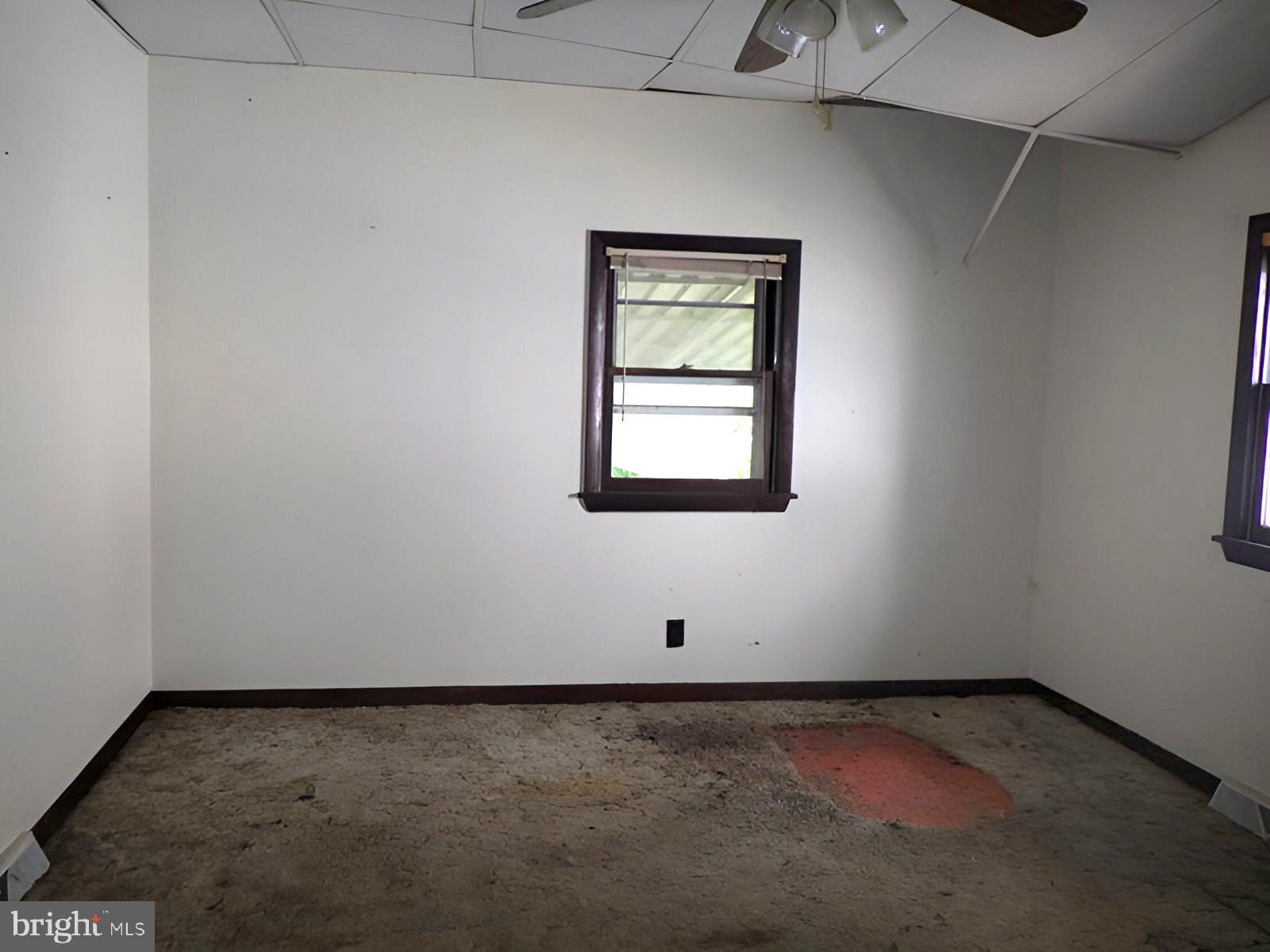 313 Linden Ave