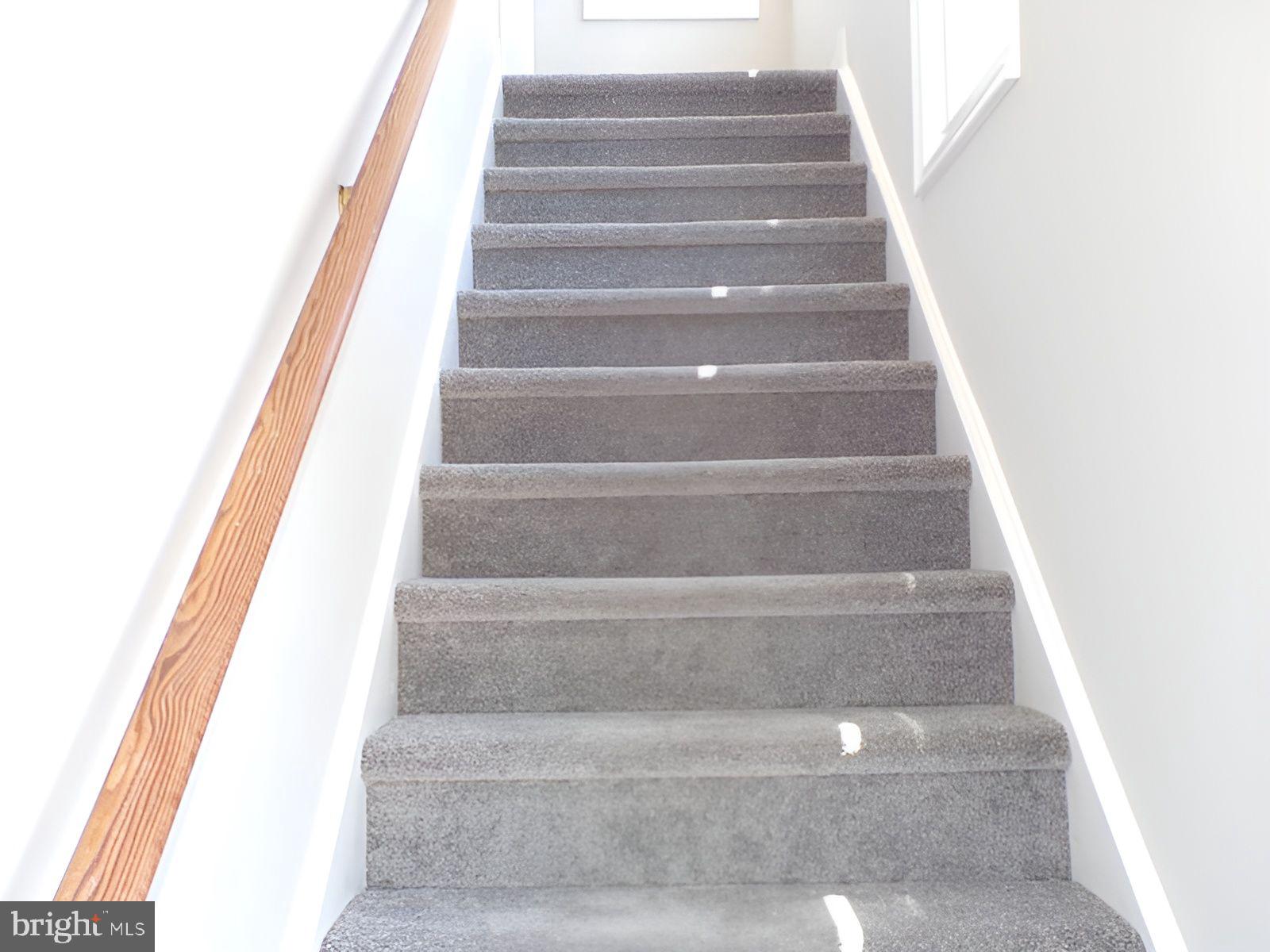 399 Wellesley Ct