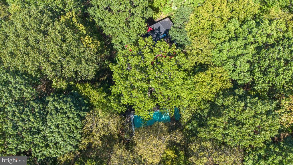 2905 ASH MILL ROAD