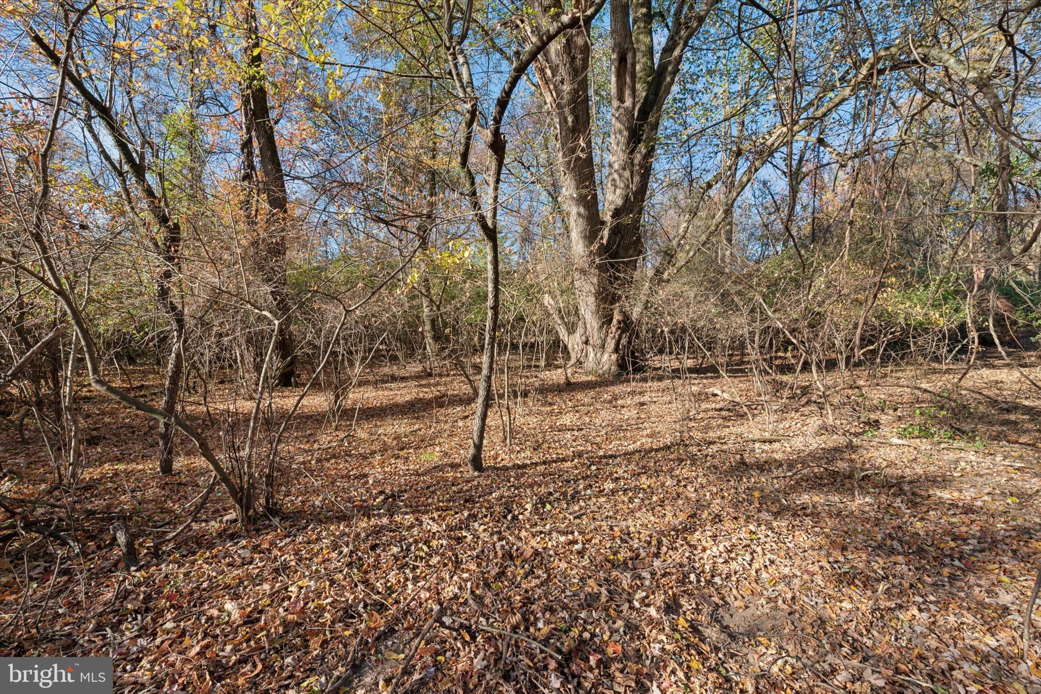 240 Phoenixville Pike