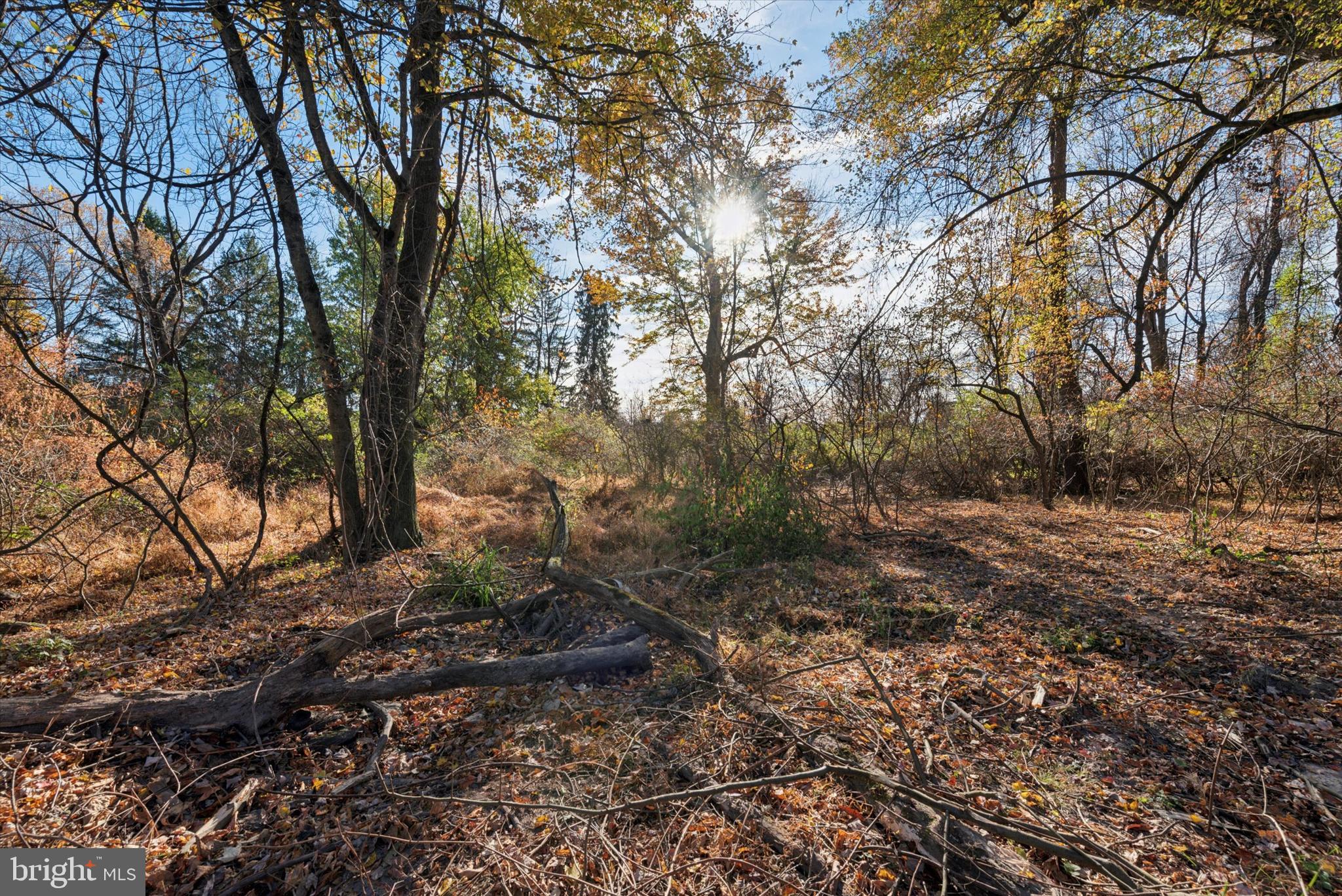 240 Phoenixville Pike