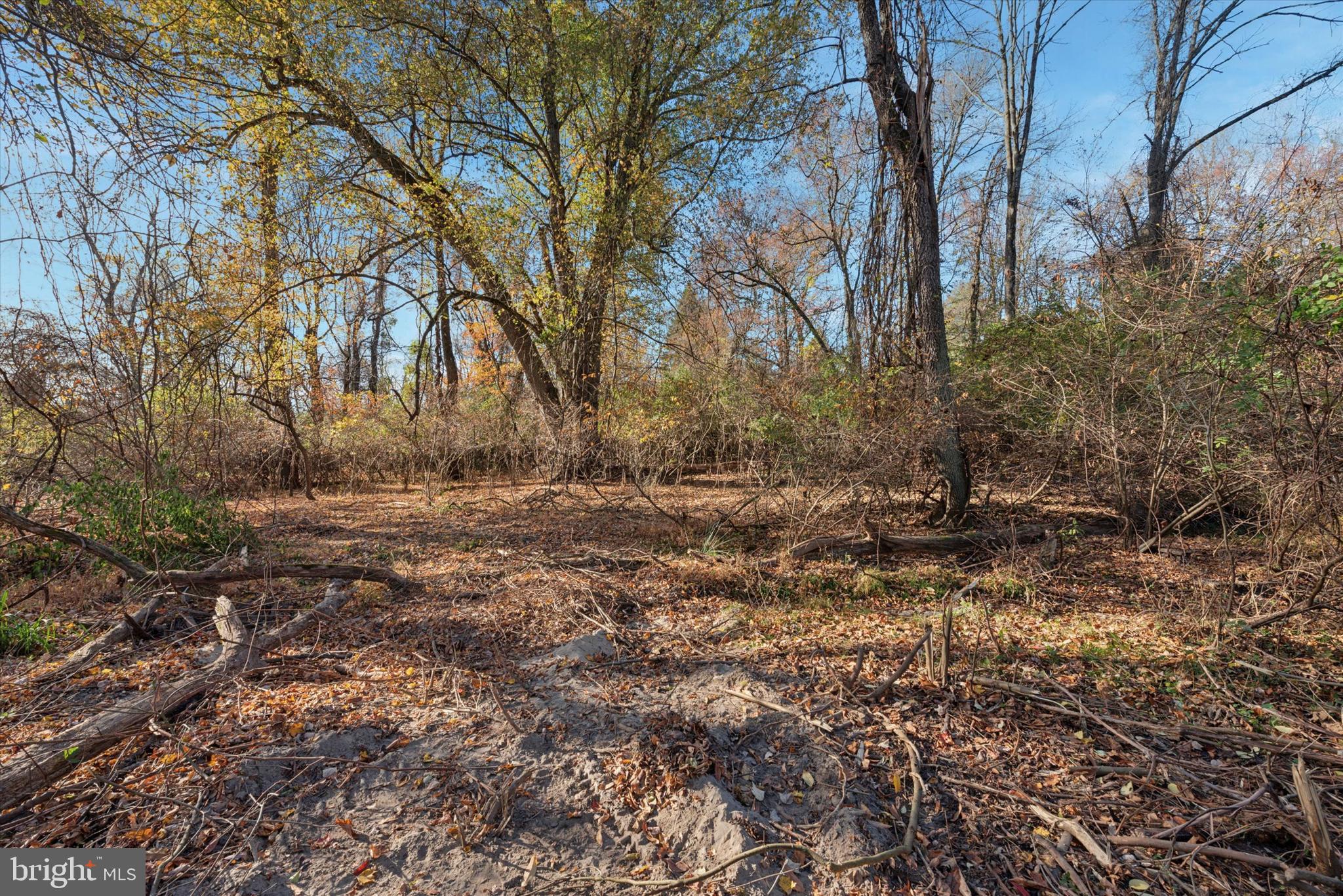 240 Phoenixville Pike