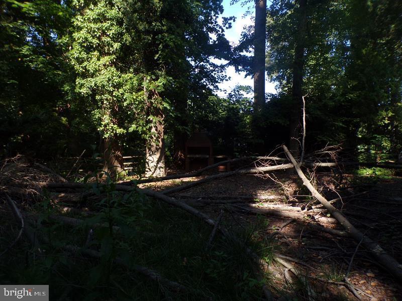 300 French Rd