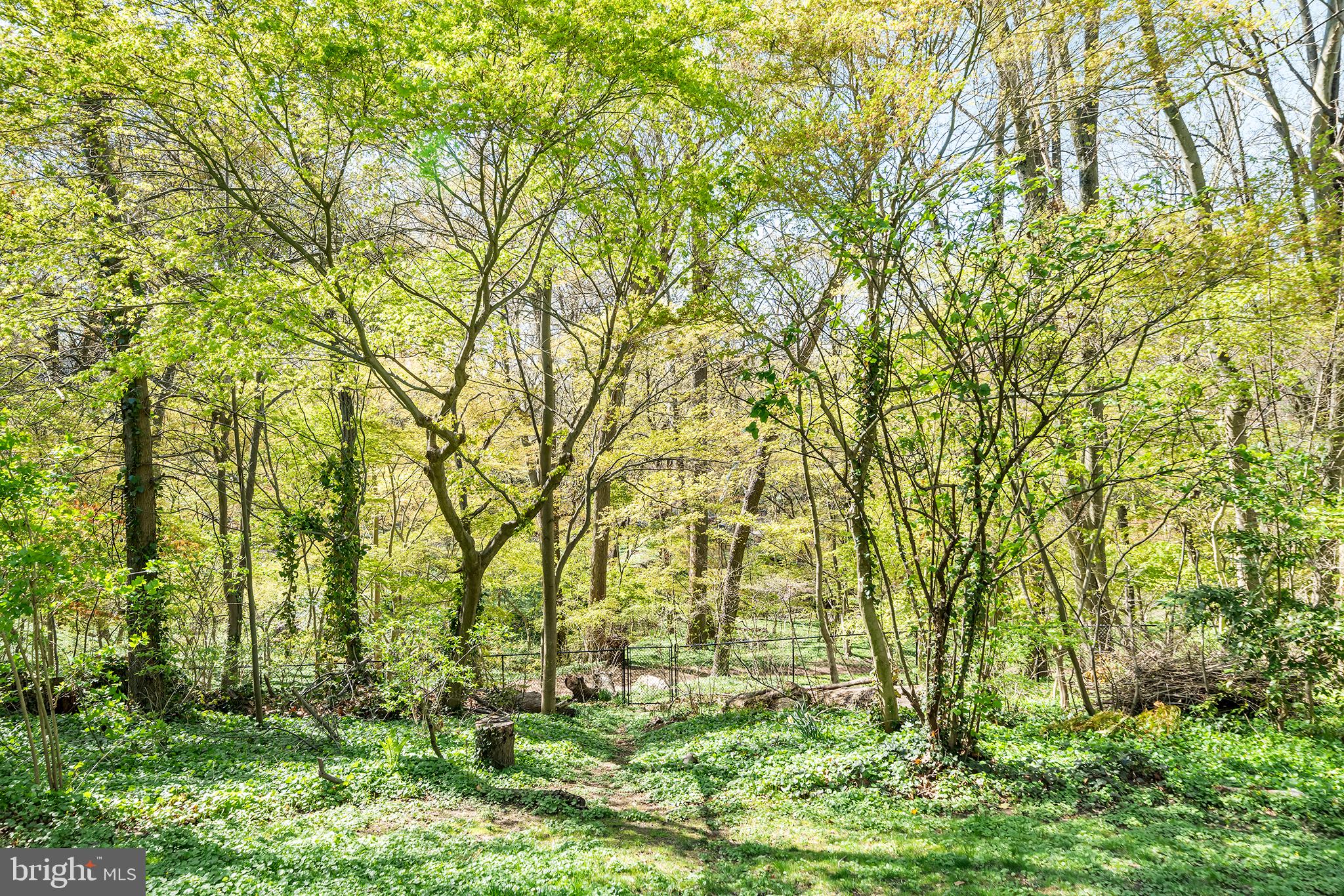 35 VIOLET LANE 2ND FLOOR