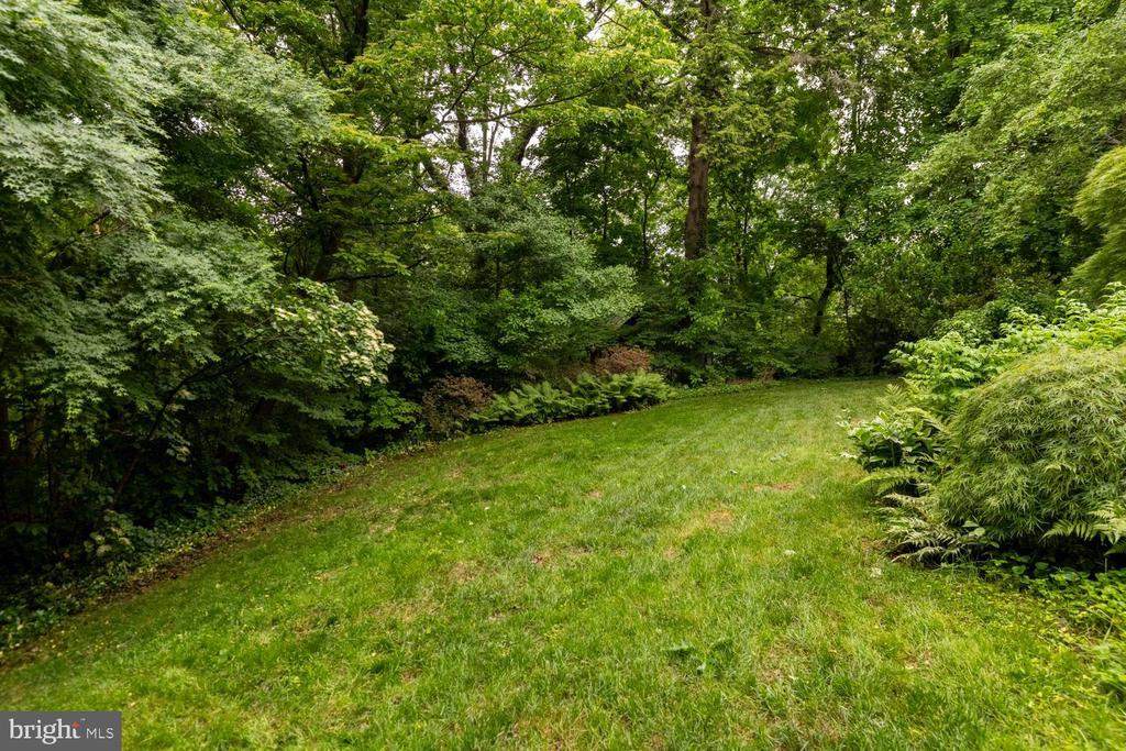 35 VIOLET LANE