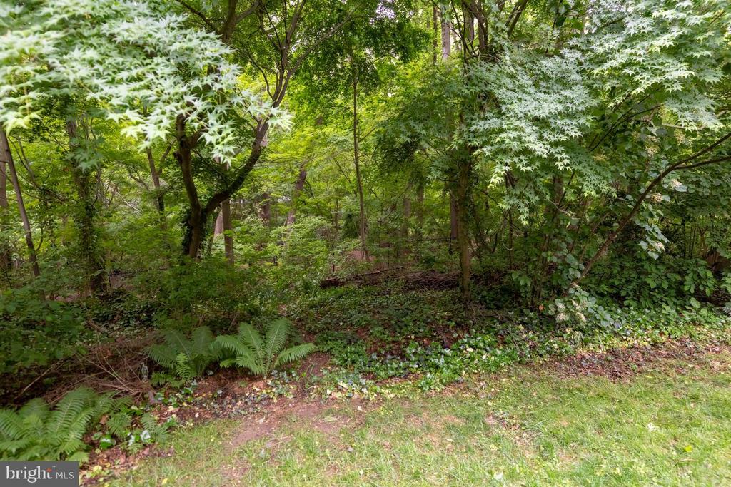 35 VIOLET LANE