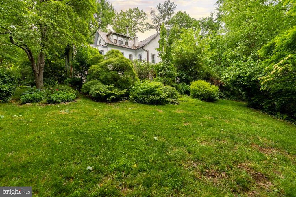 35 VIOLET LANE
