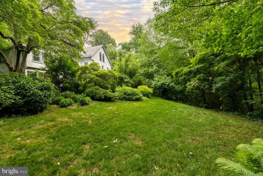 35 VIOLET LANE