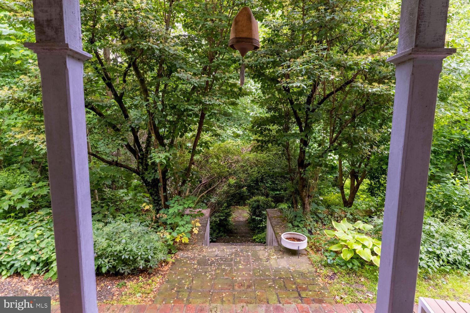 35 VIOLET LANE