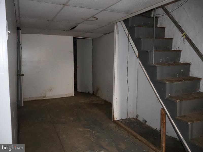 319 AVON ROAD