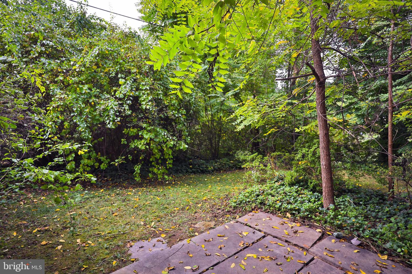 534 Ott Rd
