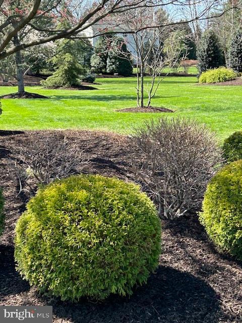 675 FOREST CREEK DRIVE