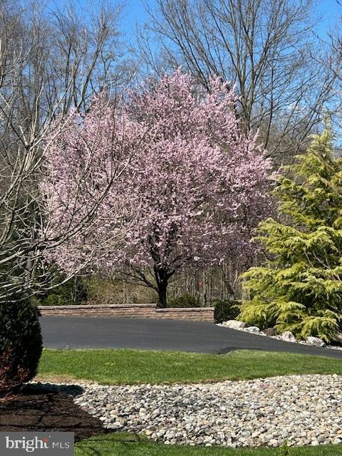 675 FOREST CREEK DRIVE