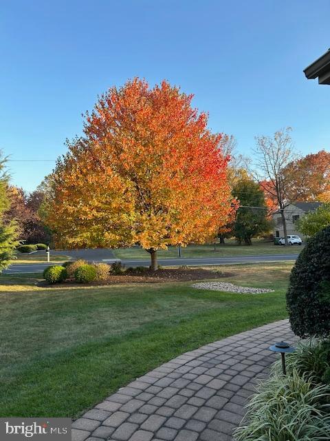 675 FOREST CREEK DRIVE