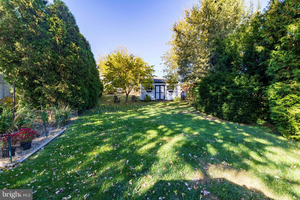 11 FRANKLIN AVENUE