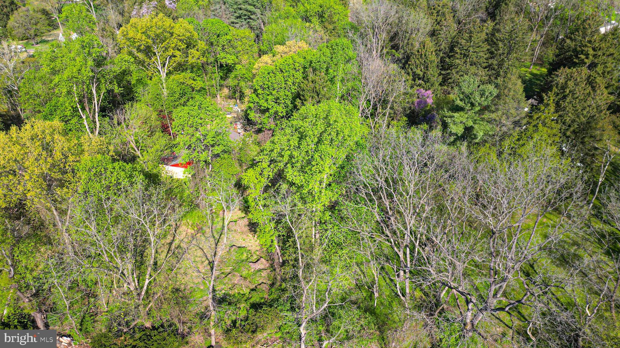 404 PHEASANT DRIVE