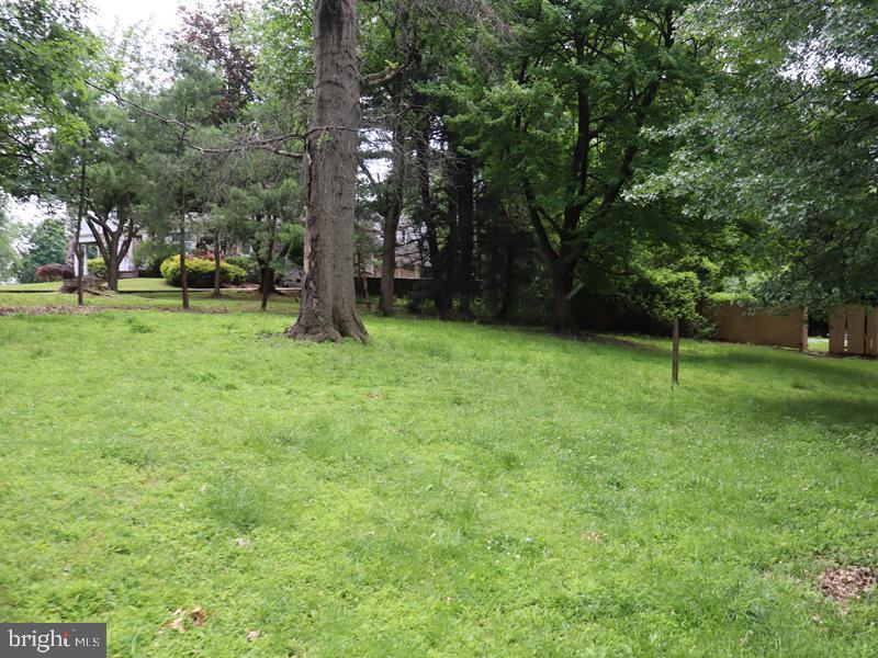1620 OLD WELSH ROAD