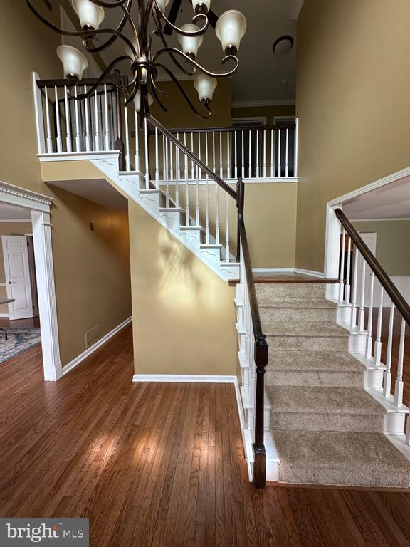 685 WYNDRISE DRIVE
