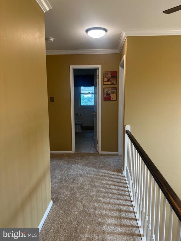 685 WYNDRISE DRIVE