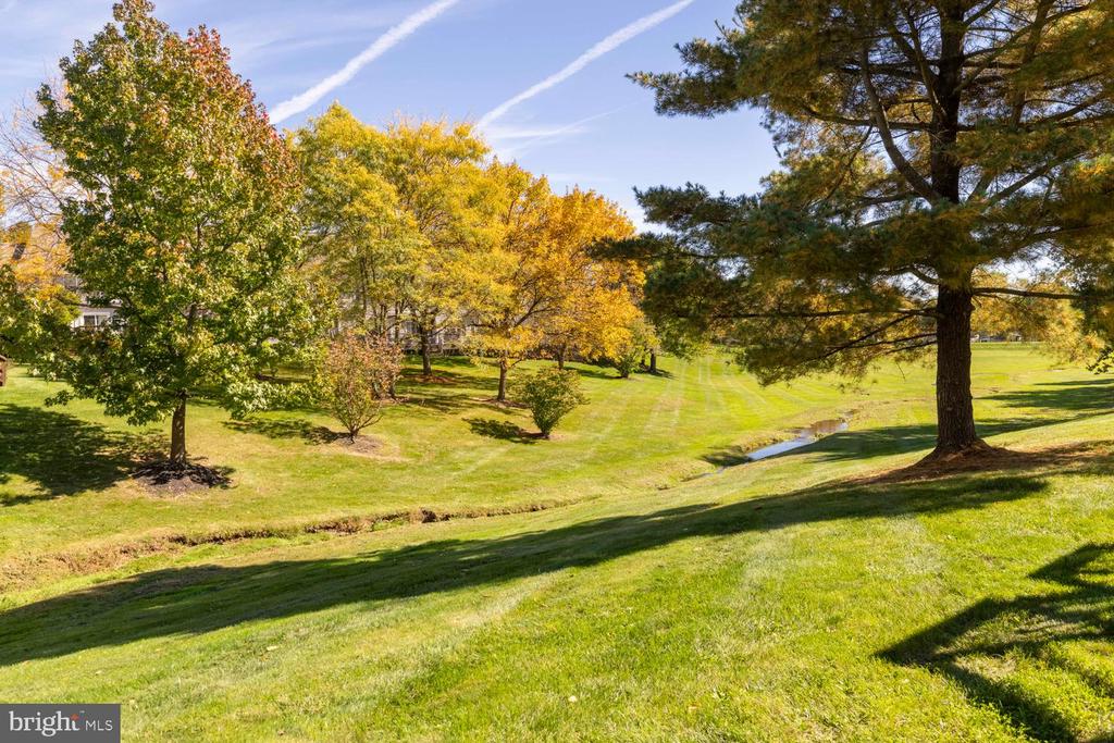 142 BLUE RIBBON DRIVE