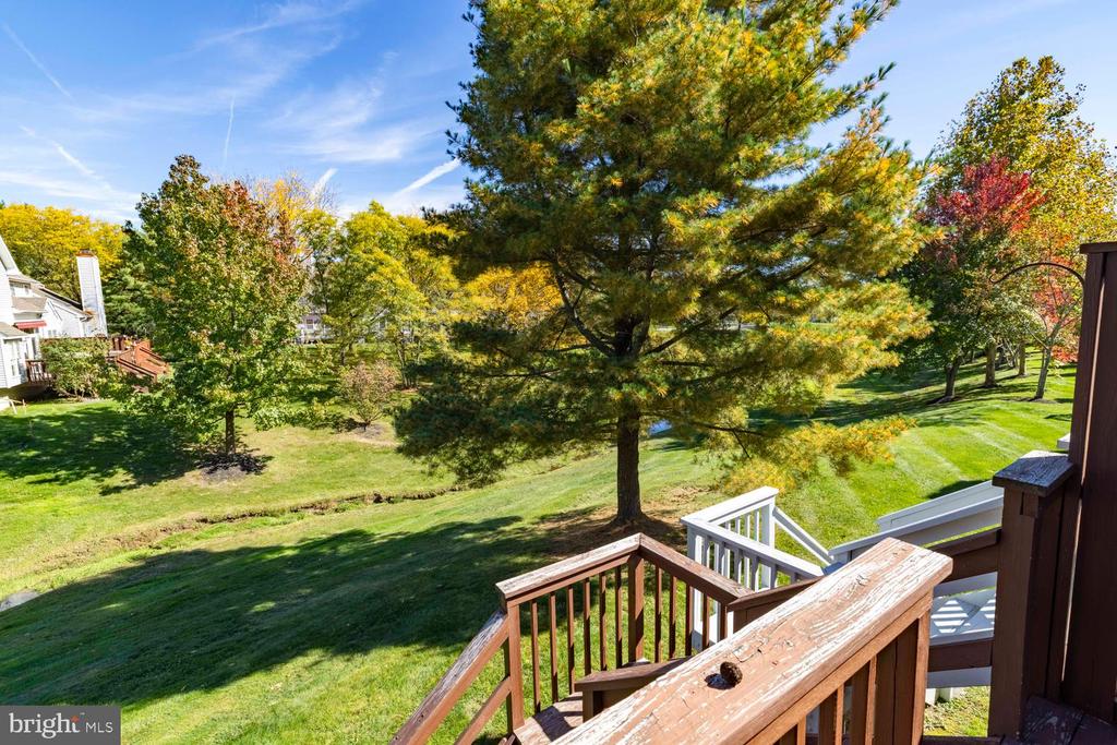 142 BLUE RIBBON DRIVE