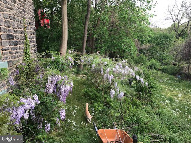 5376 Wingohocking Hts